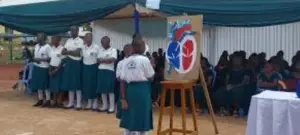 Female Teachers Wanted – Mary Queen Of Peace Girls’ Secondary School